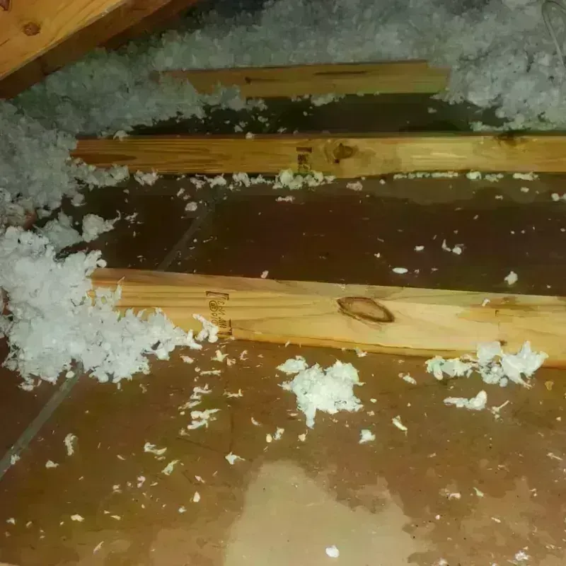 Attic Water Damage in West Falmouth, MA